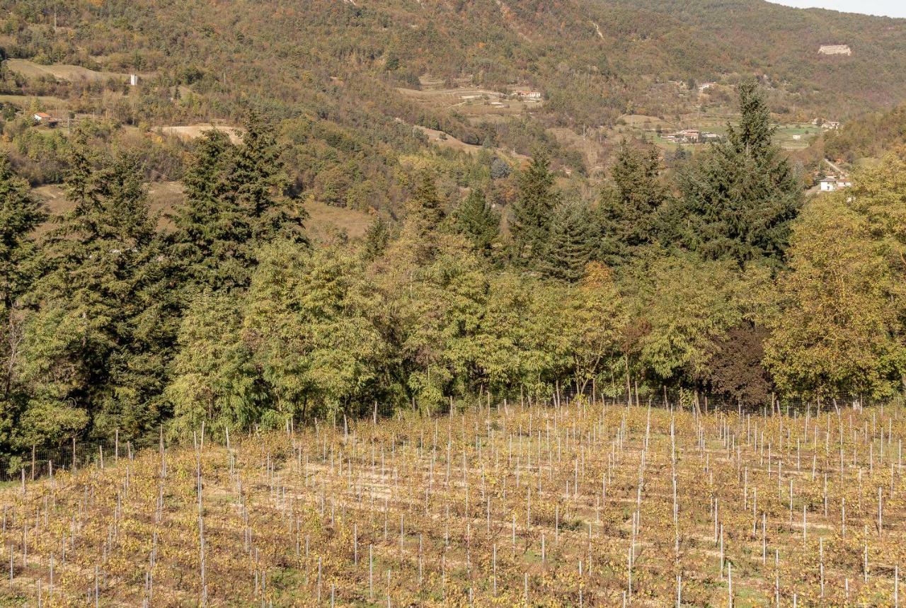 Tenuta Pian D'Attesio - Agriturismo Castelletto Soprano Εξωτερικό φωτογραφία
